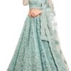 Monrav Women's Net Embroidered Semi-Stitched Lehenga Choli(Pl410)