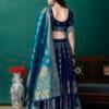 SWAMI STUDIO Trendy Indian Style Wedding Banarasi Lehenga Choli For Women, choli with Unstitched Blouse