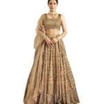 TRENDMALLS Women's Georgette Embroidery Work Semi-stitched Lehenga Choli With Dupatta